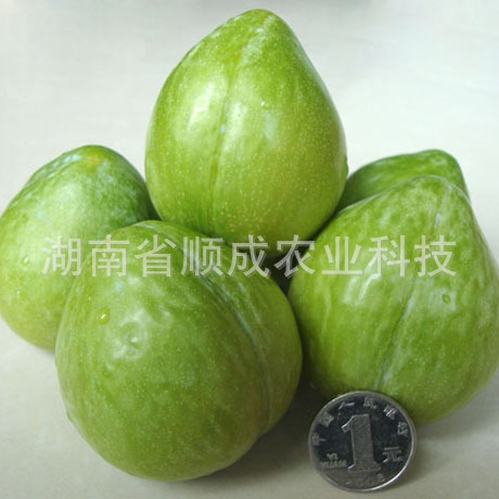 青奈李 青奈李